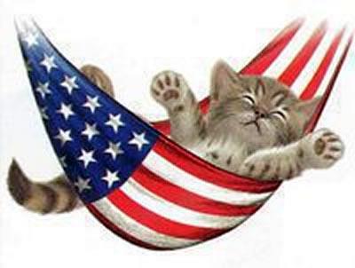 cat flag
