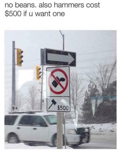 48220536_10205186760384529_387137322585423872_n_10205186760344528