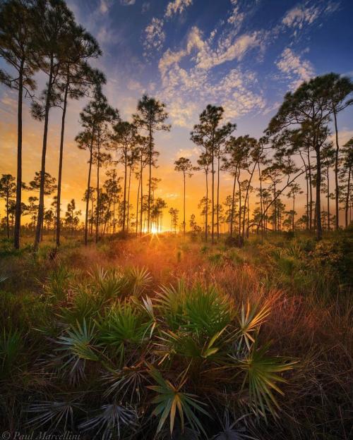 D7B57890-F5D2-4CCF-9FC1-E020B2AFCB9A