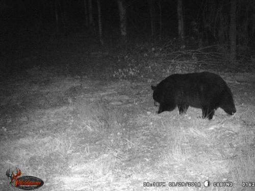 41536303_10217220278597620_8570539546188447744_o_10217220278557619