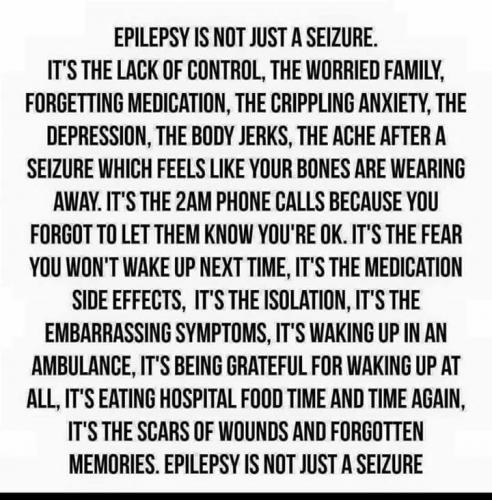 32699950_10204471055332350_2648192296872312832_n_10204471055292349