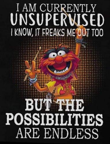 Unsupervised
