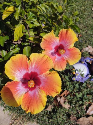 06:45:13 GMT-0500 (CDT)