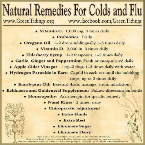 FB_IMG_1544633169907