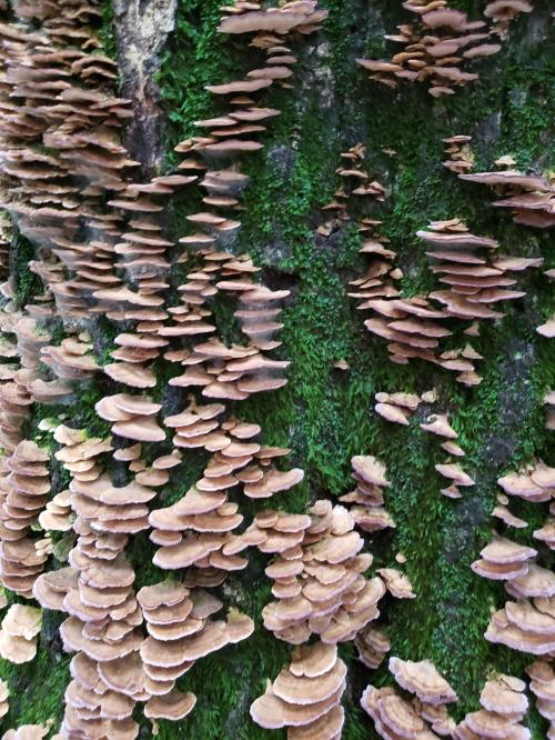 11:19:41 GMT-0400 (EDT)