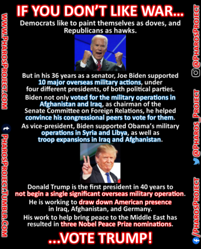 tumblr_36f8e9ae81290c995631949be5d04046_259fe1ca_500