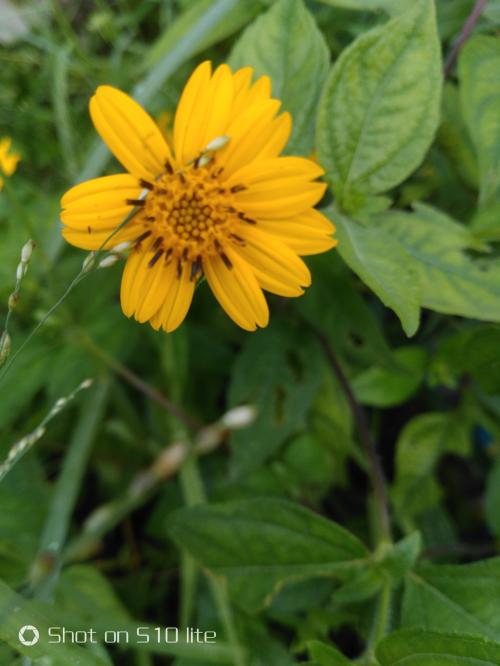 18:46:38 GMT+0100 (WAT)