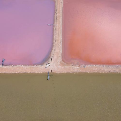 F02C9171-BDAB-47AD-A49A-FC2383260AEA