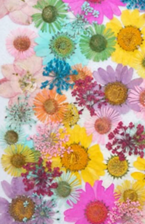 23:56:34 GMT-0700 (PDT).png