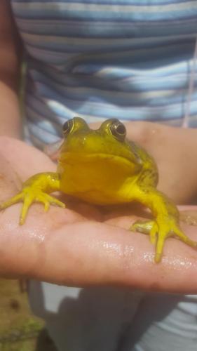 08:55:59 GMT-0400 (EDT)