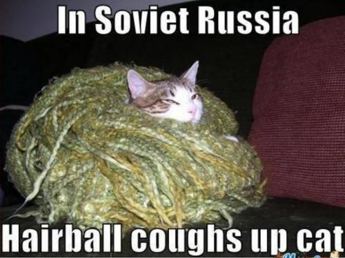 14102930_10201950363356626_4243703008465548783_o_10201950363356626