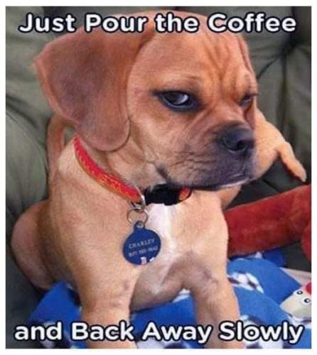 12:17:51 GMT-0500 (CDT)