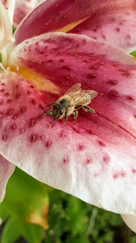 11:22:23 GMT-0700 (PDT)