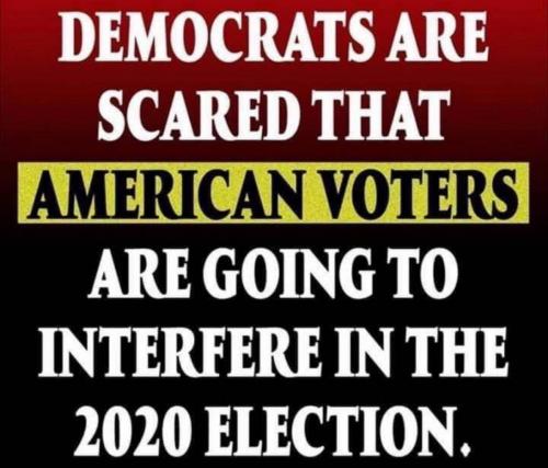 demvote fraud scared american voters will interfere in 2020 election rigging biden kamala