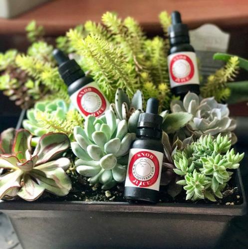 19225687_1552982211399133_1223473363004059456_n