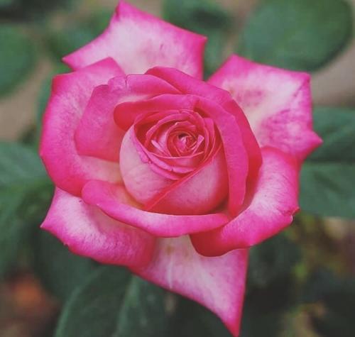 21:19:32 GMT+0100 (WAT)