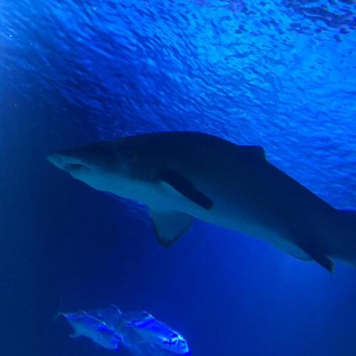 20:24:10 GMT+0100 (WAT)