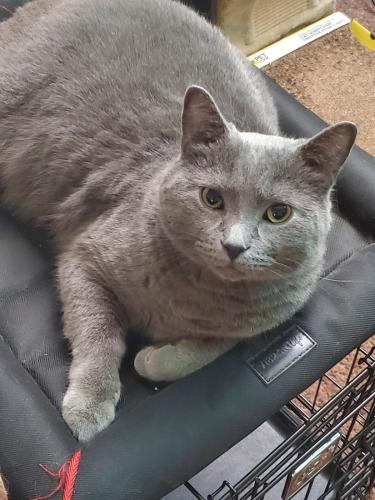 13:09:24 GMT-0400 (EDT)