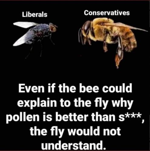 122002093_10220339059799310_1192285037994897349_o