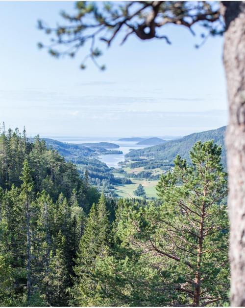 02:19:48 GMT+0200 (CEST)