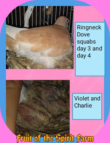 07:11:34 GMT-0500 (CDT)