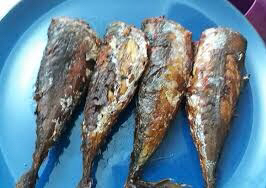 BAC7C298-0085-4F1B-9409-4EA345315793-736-000000432C9BA0CD