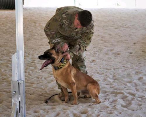 FB_IMG_16023368137445871