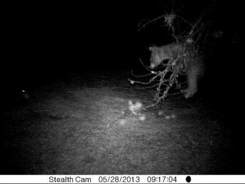 946875_10201513527618662_880546861_n_10201513527618662