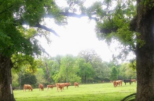 FB_IMG_1603663771079