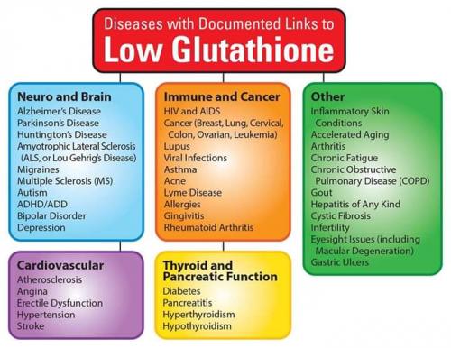 FB_IMG_1565626716783