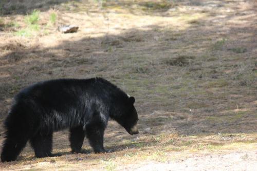 944610_10201080229426478_254105252_n_10201080229426478