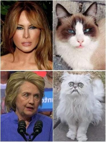 12:47:44 GMT-0300 (ADT)