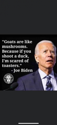 Biden crap