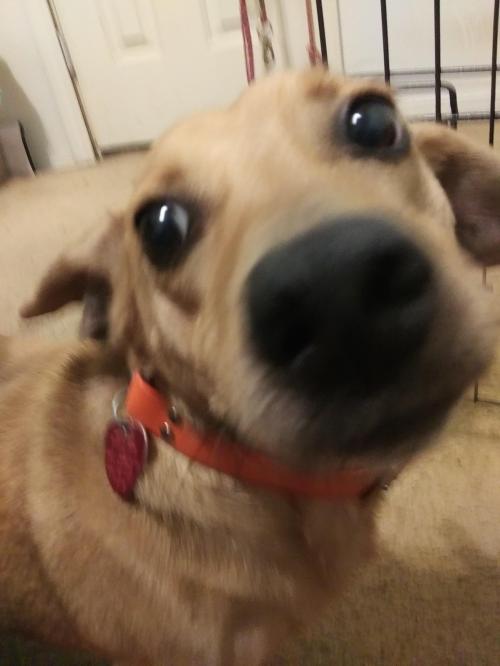 03:27:18 GMT-0500 (CDT)