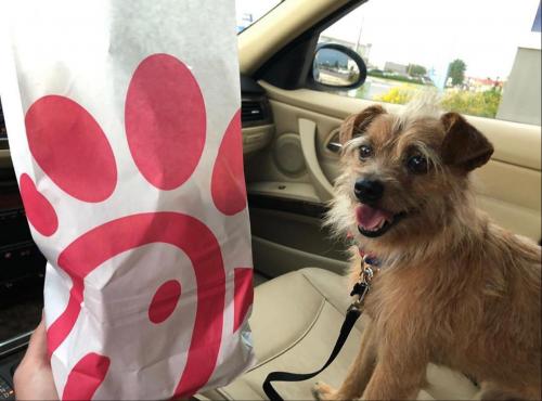 6bad10c5-bd96-4f85-925f-823713681e2c