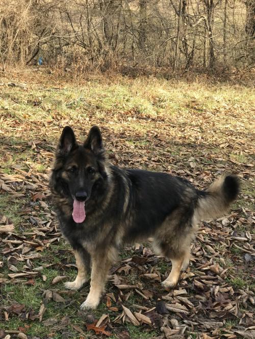 247190C0-B9FF-454C-8BD9-E777ED48C033