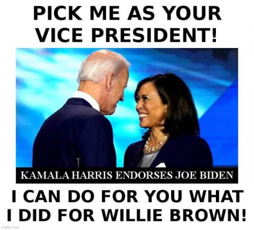 FB_IMG_1597358137852