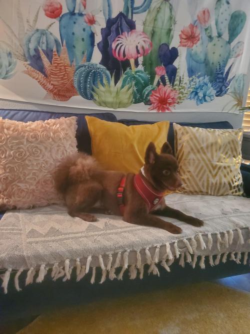 15:03:58 GMT-0700 (PDT)