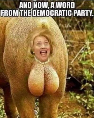 FB_IMG_1598026095736