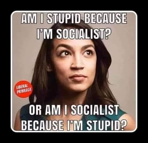 F Am I stupid because I'm a socialist