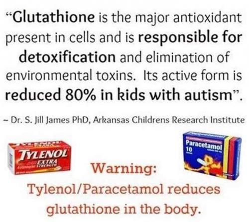 FB_IMG_1539560665655