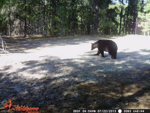 1175456_10201794156634212_1683771334_n_10201794156634212