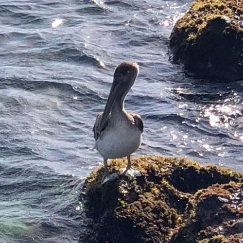 17:05:26 GMT+0100 (WAT)