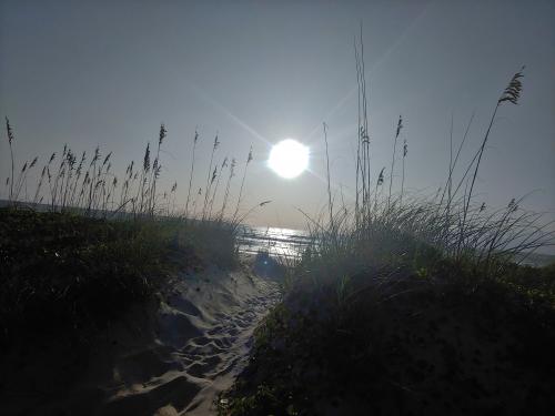 inbound288768542644815361