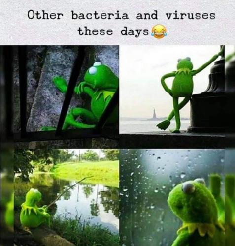 17:20:18 GMT-0400 (EDT)