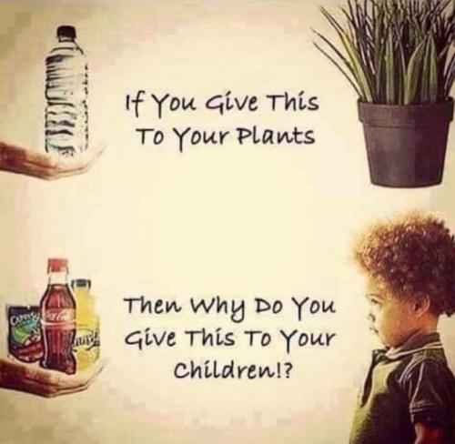 FB_IMG_1565707047631