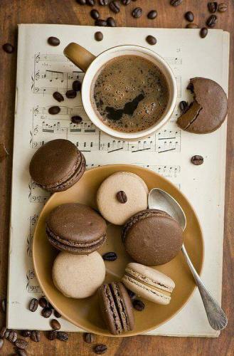 16105976_10202548199262150_7752951590081023901_n_10202548199262150