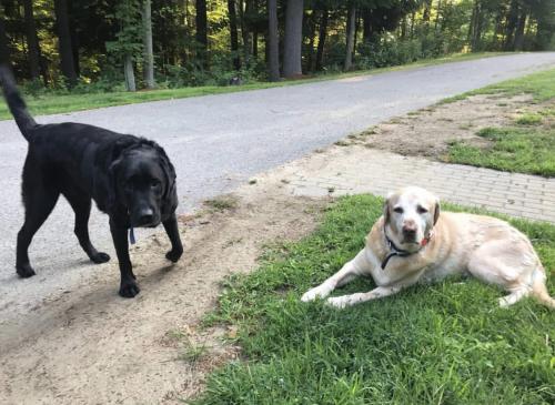 8bde5349-574f-4a7f-b42e-8f83ab416c11