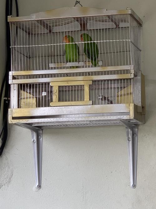 CDF37F4E-38BA-4D2B-B12B-8A4BCAD905E7