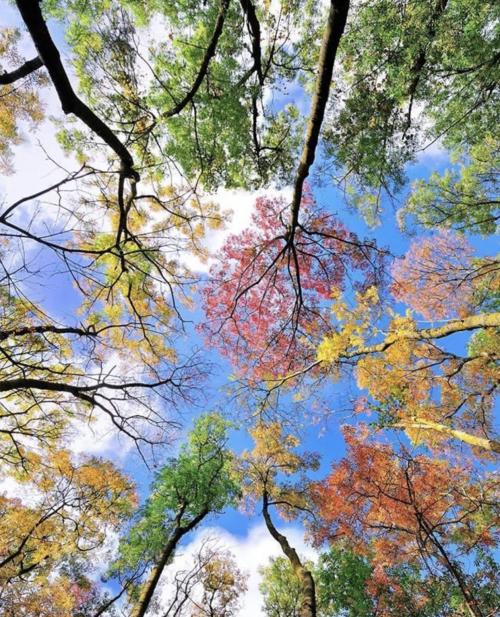 BE623DB7-264D-43AC-A0DE-C8F8EED34069